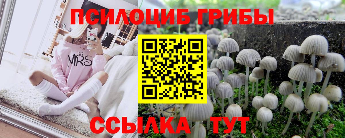 Владимир  Галлюциногенные грибы мицелий  Галлюциногенные грибы мухоморы  Вход с VPN 